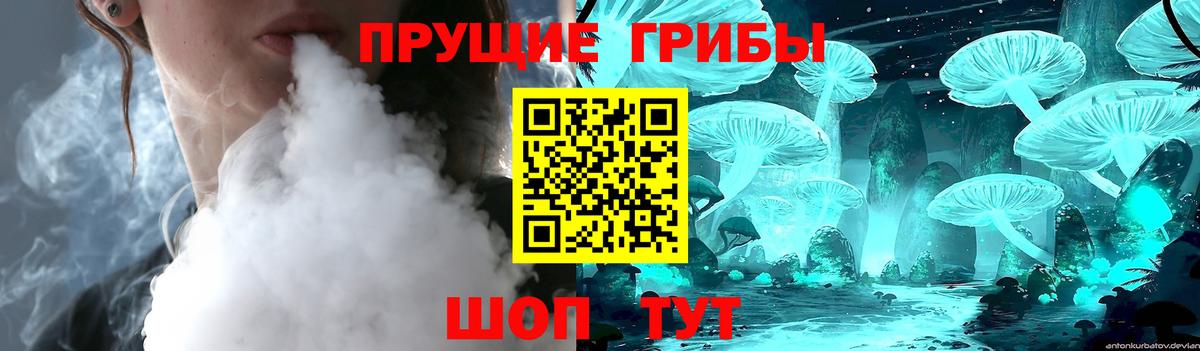 Псилоцибиновые грибы прущие грибы Сыктывкар